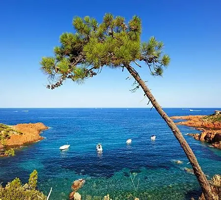 Cap Esterel - T2 Climatise Vue 4/5 Pers - Piscine - Parking Lejlighed *