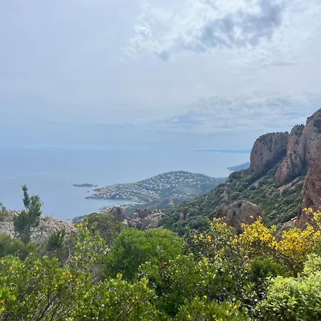 Lejlighed Cap Esterel - T2 Climatise Vue 4/5 Pers - Piscine - Parking